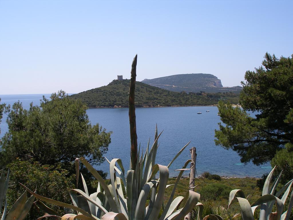 Giramondo Sardegna Affittacamere Alghero Exteriör bild