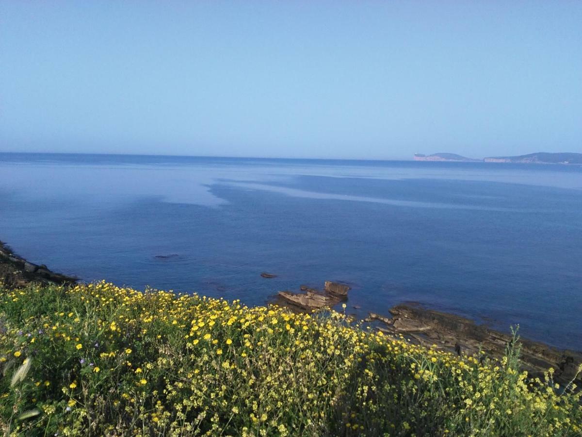 Giramondo Sardegna Affittacamere Alghero Exteriör bild